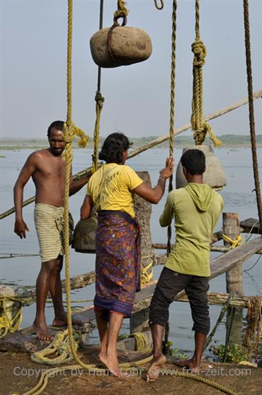 Chinese Fishing nets, Cochin_DSC6024_H600